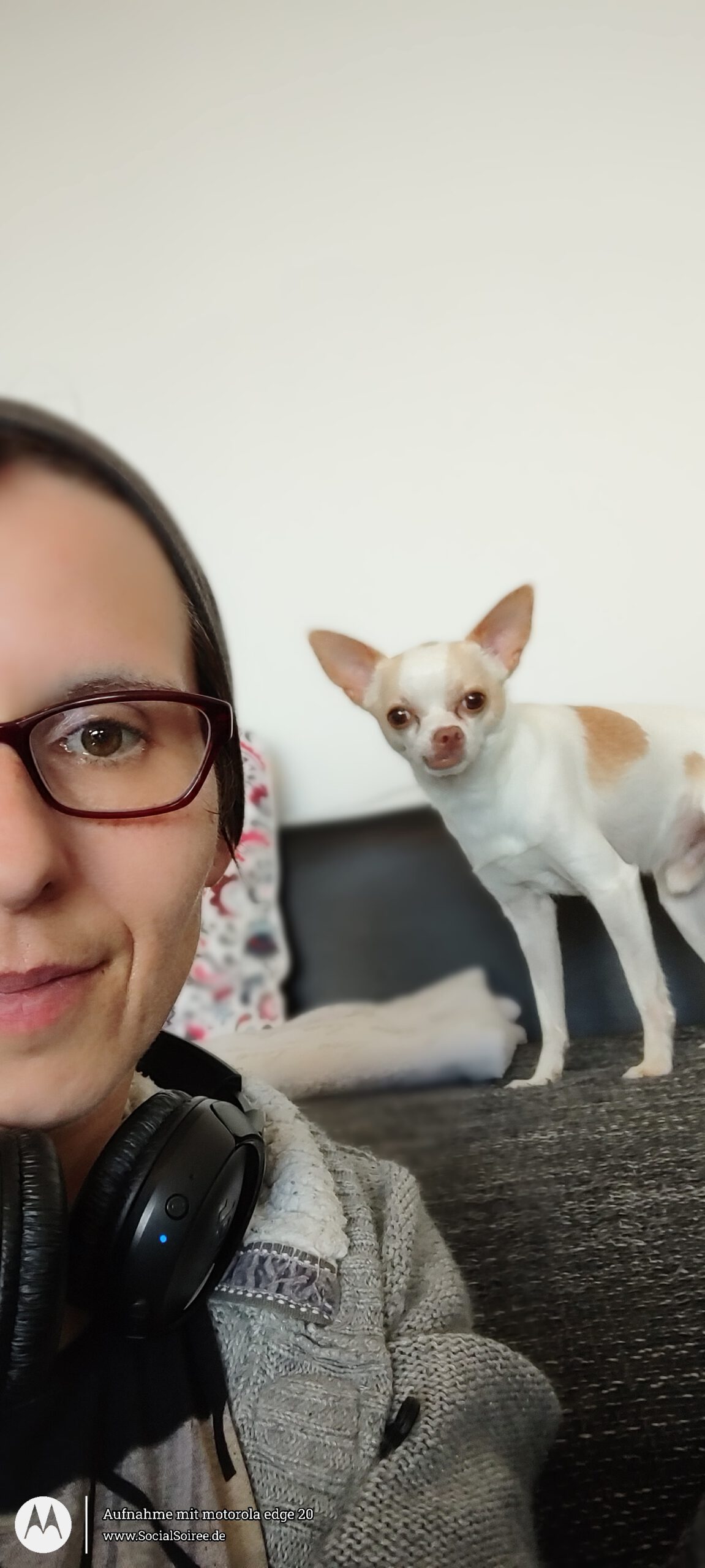 Hund im HIntergrund davor Frau